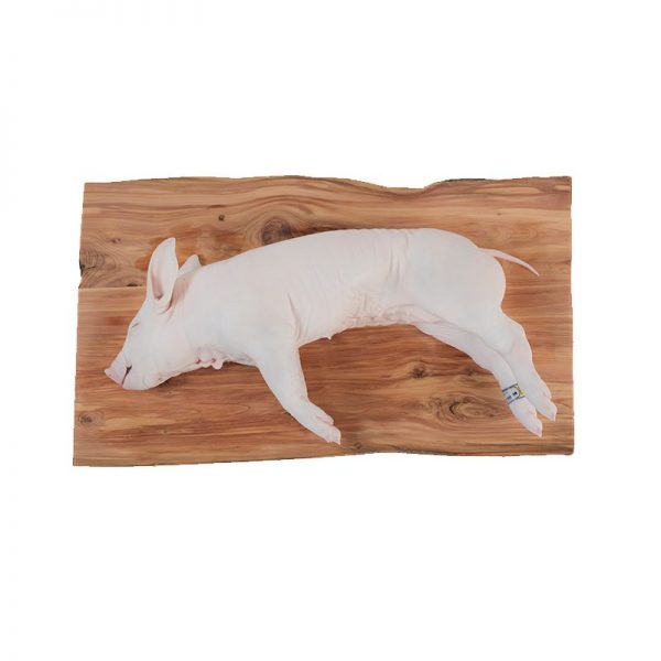 Cochinillo de Segovia 2