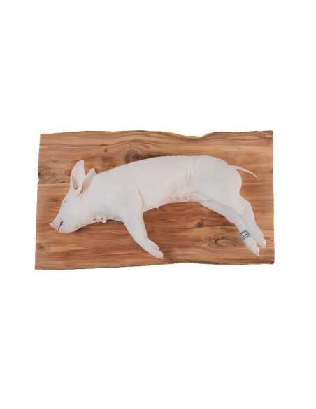 Cochinillo de Segovia