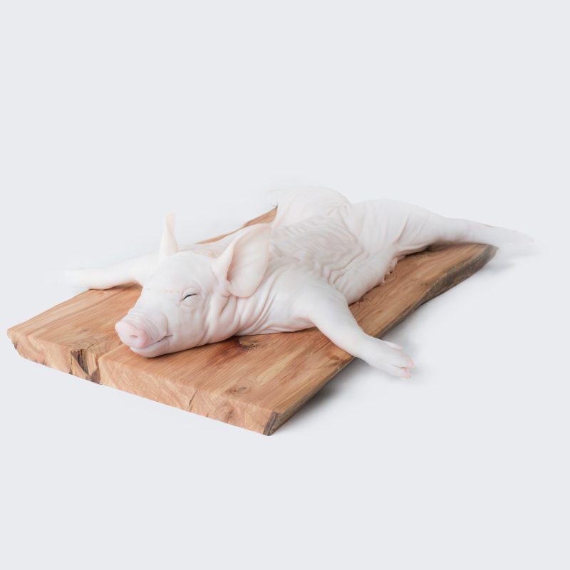 Cochinillo de Segovia