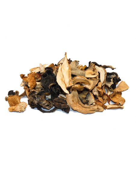 Boletus Deshidratado. 70 gr