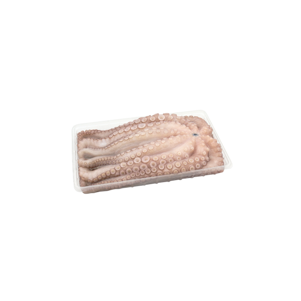 Pulpo Crudo en bandeja 2